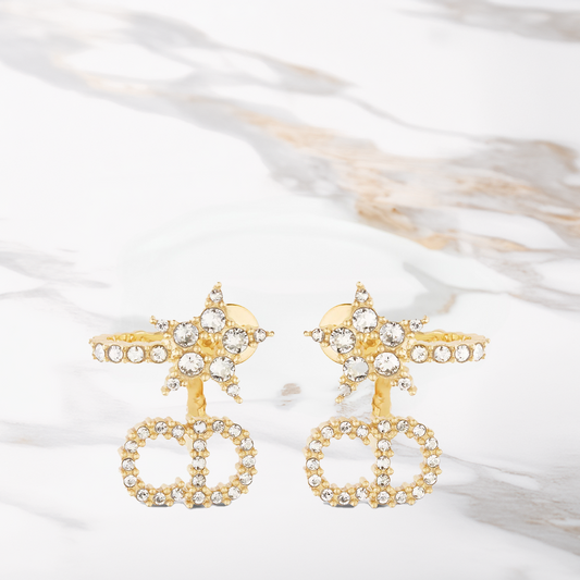 Boucle d'oreille B10